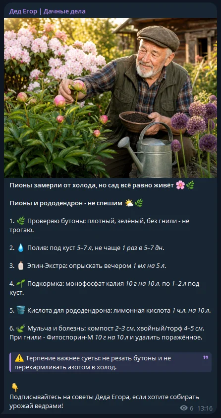 ИИ-персонаж Дед Егор и структурированный пост